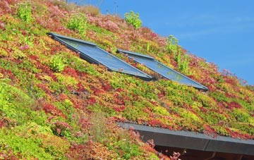 Shareshill living roof systems