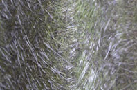 Shareshill fibreglass roof work